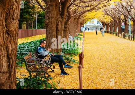 Dic 5, 2018 Tokyo, Giappone - Tokyo giallo ginkgo tunnel di alberi a Jingu gaien avanue in autunno con tourist sedersi sulla panchina. Attrazioni famose a novembre un Foto Stock