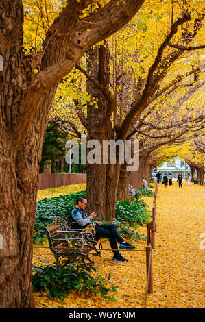Dic 5, 2018 Tokyo, Giappone - Tokyo giallo ginkgo tunnel di alberi a Jingu gaien avanue in autunno con tourist sedersi sulla panchina. Attrazioni famose a novembre un Foto Stock