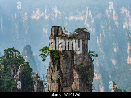 Naturale di formazioni di roccia in Zhangzhijaje National Park, Cina Foto Stock