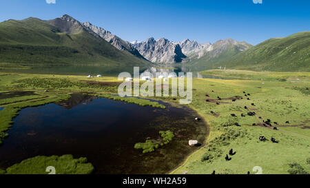 (190902) -- PECHINO, Sett. 2, 2019 (Xinhua) -- foto aerea adottate il 9 luglio 2019 mostra lo scenario a Mt. Nyanpo Yutse in tibetano prefettura autonoma di Golog della Cina nord-occidentale della Provincia di Qinghai. Provincia di Qinghai, che si trova nel nord ovest della Cina, gran parte dei quali si trova sul Plateau Qinghai-Tibet, è la casa per le sorgenti del Yangtze, giallo e fiumi Lancang. Con una popolazione di 6 milioni di euro e di un'area di 720.000 chilometri quadrati, la provincia ha assunto un nuovo aspetto sul suo ambiente ecologico con sforzi spesi nel miglioramento ambientale. Negli ultimi cinque anni ha Qinghai pour Foto Stock