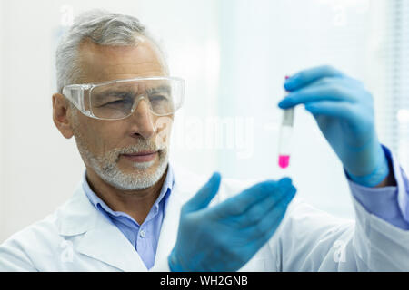 Concentrato scienziato barbuto staring al liquido di colore rosa Foto Stock