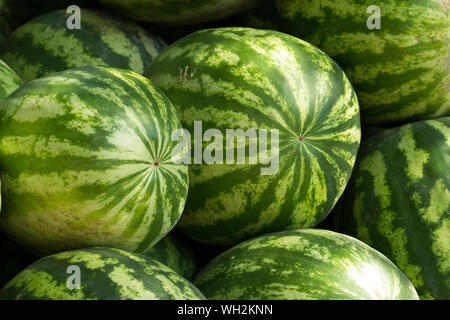 I cocomeri maturi nel mercato. Close up. Un sacco di grandi maturi a strisce verdi cocomeri close up sfondo. Agricoltore biologico mercato, store Foto Stock