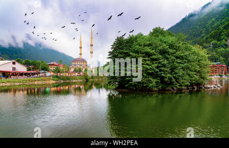 Vista panoramica di Uzungol che è un attrazione turistica in Trabzon, Turchia. Uzungol con stork uccelli. Foto Stock