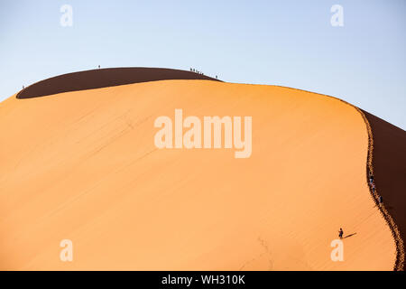 In alto di dune 45 nella luce del mattino, Namib Desert, Namibia Foto Stock