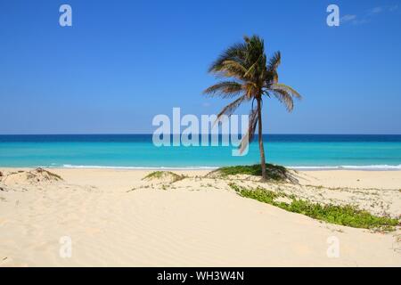 Paesaggio di Cuba. Spiaggia caraibica Playa Megano a Playas del Este parte di Havana Province. Foto Stock