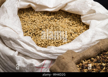 Materie i chicchi di caffè immagazzinato in sacchi. Prodotta in Costa Rica. Foto Stock