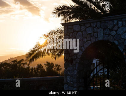 Impostazione sole risplende attraverso le foglie di un albero di Palma in Santorini Foto Stock