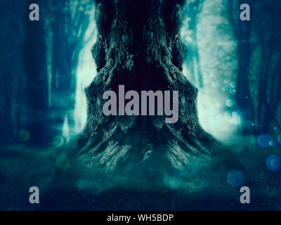 Big crooked spooky albero nella foresta di notte. Foto Stock