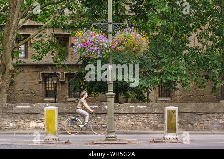 Colorato nella tarda estate fiori dal consiglio della città di St Giles', Oxford, UK. Foto Stock