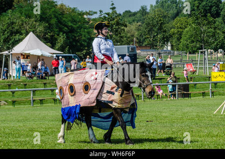 Il programma sulla fiera di Schloss Hof è pieno di varietà e dà esecutori degli animali una possibilità di mostrare tutto ciò che hanno appreso. Foto Stock
