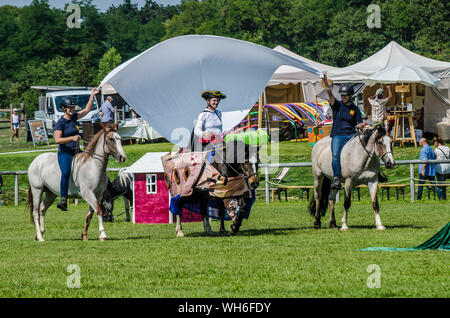 Il programma sulla fiera di Schloss Hof è pieno di varietà e dà esecutori degli animali una possibilità di mostrare tutto ciò che hanno appreso. Foto Stock