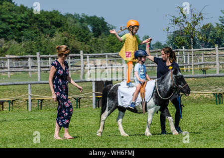 Il programma sulla fiera di Schloss Hof è pieno di varietà e dà esecutori degli animali una possibilità di mostrare tutto ciò che hanno appreso. Foto Stock