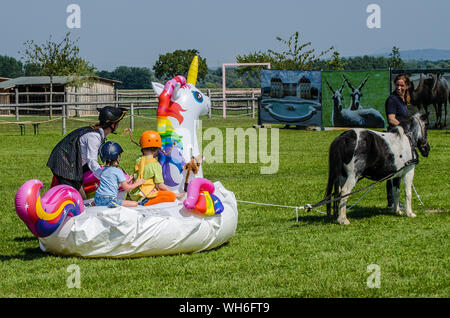 Il programma sulla fiera di Schloss Hof è pieno di varietà e dà esecutori degli animali una possibilità di mostrare tutto ciò che hanno appreso. Foto Stock