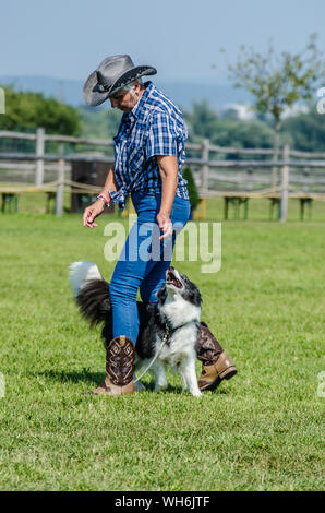 Il programma sulla fiera di Schloss Hof è pieno di varietà e dà esecutori degli animali una possibilità di mostrare tutto ciò che hanno appreso. Foto Stock