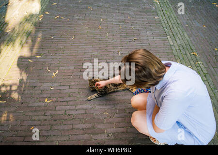 Vista dal di sopra della donna che gioca con street cat in Olandese di Haarlem strada acciottolata Foto Stock