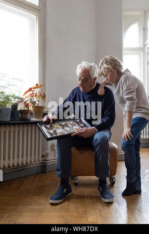 Nonno che mostra collezione di farfalle al nipote a casa Foto Stock