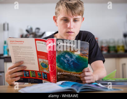 Un alunno di revisione per i suoi esami GCSE Foto Stock