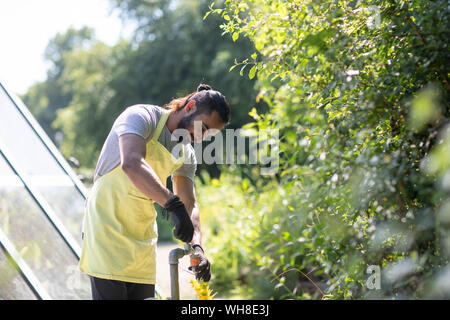 Barbuto giovane uomo che lavora in giardino Foto Stock