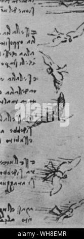La telecamera è in grado di congelare l'ala-beat di un uccello ma Leonardo aveva per arrestare il movimento delle ali nella sua mente ed egli ha richiamato centinaia di volte le posizioni degli uccelli in volo. 'Un uccello fa lo stesso uso di ali e la coda in aria come un nuotatore non di braccia e gambe costituiscono l' acqua. Leonardo da Vinci (1452-1519) era un italiano architetto rinascimentale, musicista, anatomista, inventore, ingegnere, scultore, geometra e pittore. . . Foto Stock