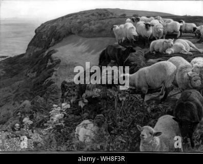 Allontanati pecore (le nostre coste inglesi) 1852 da William Holman Hunt (1827-1910). Artista inglese e membro della Fraternità Pre-Raphaelite. Dipinto sulla costa sud a Fairlight, vicino a Hastings.. . . Foto Stock