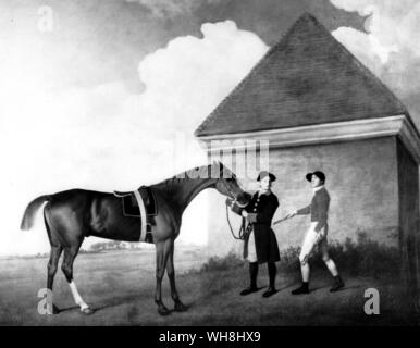 Eclipse è stato allevato nel 1764 dal duca di Cumberland. Egli è stato foaled sia a Cranbourne o Cumberland Lodge, in Windsor Park, sebbene orgoglio locale ha dato a lui come molti altri patrie come Homer. Egli era eccezionalmente grande per il suo tempo - 15.2 o 15.3 - ma la sua altezza è una questione di perenne discussione. George Stubbs, (1724-1806), che ha dipinto lui come un bambino di sei anni, non mostra la conformazione inusuale sulla quale molti contemporanei ha sottolineato: il suo quarti erano sensibilmente superiori al suo garrese. Discende da Darley Arabian razza di cavallo, il suo lignaggio è con il moderno purosangue. Foto Stock