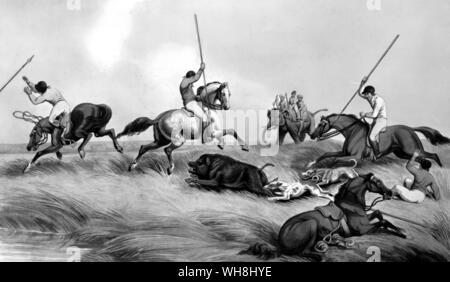 Questo sport, noto per 'Nimrod's" generazione come hog-caccia, era pericoloso tuttavia intrapreso grazie alla forza e al coraggio della cava ed è stata resa più in modo da intensa concorrenza tra i piloti per arrivare primo sangue. Questo significava incrocio paese ruvida al galoppo. L'entusiasmo di tali "caccia-corrisponda all' fatta steeplechases inutile fino a quando non il 1860s. La storia delle corse di cavalli da Roger Longrigg, pagina 264. Foto Stock
