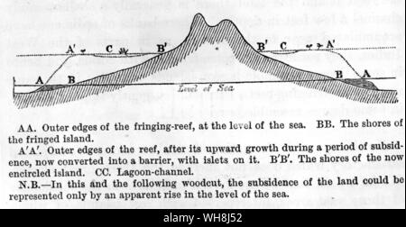 Le tre fasi di sviluppo dei coralli illustrata dai disegni in sezione della stessa isola. Come l'isola decresce, la barriera corallina si accumula in una barriera corallina e quindi diventa un atollo come la terra stessa scende al di sotto del livello del mare. Darwin e la Beagle da Alan Moorhead, pagina 236. Foto Stock