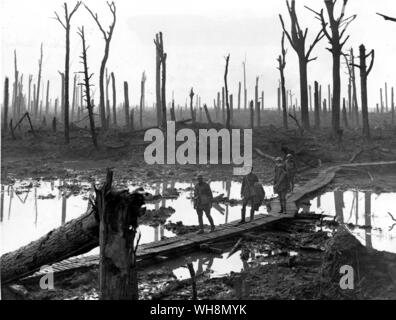 La terza battaglia di Ypres 1917, conosciuta popolarmente a passchendaele: truppe australiane sopra un graticcio via a Chateau legno Foto Stock