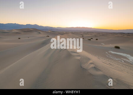 Mesquite flat dune di sabbia nel Parco Nazionale della Valle della Morte, California, Stati Uniti d'America, America del Nord Foto Stock