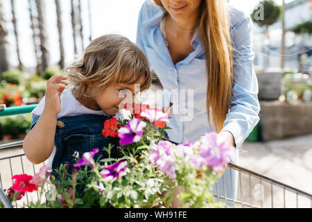 Ragazza nel carrello in un giardino centro maleodoranti in fiore Foto Stock