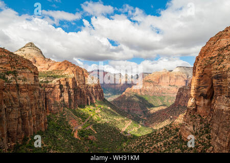 Canyon Overlook nel Parco Nazionale di Zion, Utah, Stati Uniti d'America, America del Nord Foto Stock