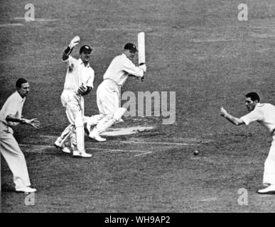 A Dudley Nourse Jnr taglia una palla da J H Wardle per quattro nel 1951 Test al lords. I campi sono L Hutton, T G Evans e J T Ikin Foto Stock