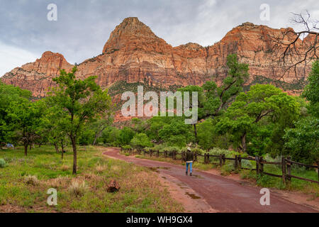 Godendo della vista nel Parco Nazionale di Zion, Utah, Stati Uniti d'America, America del Nord Foto Stock