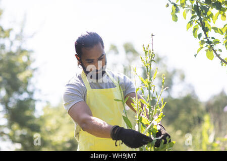 Ritratto di barbuto giovane uomo che lavora in giardino Foto Stock