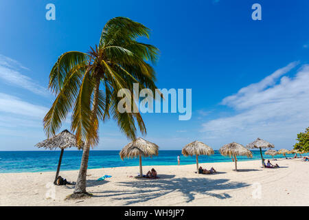 Palme e ombrelloni sulla spiaggia Playa Ancon vicino a Trinidad, Trinidad, Cuba, West Indies, dei Caraibi e America centrale Foto Stock