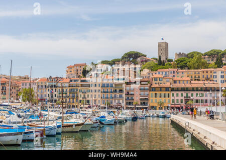 Le Vieux Port Harbour a Cannes, Alpes Maritimes, Cote d'Azur, in Provenza Costa Azzurra, Francia, Mediterraneo, Europa Foto Stock