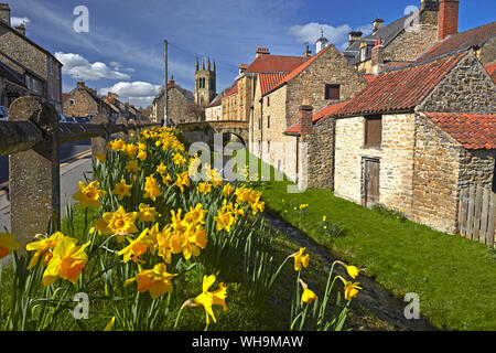 La molla a Helmsley in North York Moors, North Yorkshire, Yorkshire, Inghilterra, Regno Unito, Europa Foto Stock