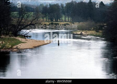 La pesca della trota in Scozia Spey Foto Stock