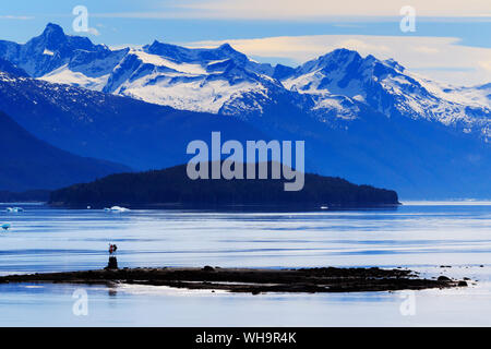 Legno Luce allo spiedo, Braccio Endicott, Holkham Bay, Juneau, Alaska, Stati Uniti d'America, America del Nord Foto Stock