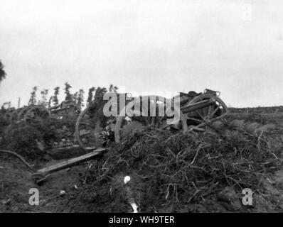 WW1: la Battaglia di Messines, 1914. 18 pdr in azione. Bois de Ploegsteert, 19-20 ottobre 1914. 1° Brigata di cavalleria. I cannoni in WW1. Foto Stock