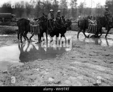 WW1/Francia: Pack cavalli prendendo le munizioni per le armi su terreno fangoso. Vicino Aveluy legno, Sett. 1916. Foto Stock