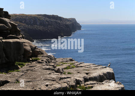 Le incredibili formazioni rocciose presso la costa di Peniche, Portogallo. Foto Stock