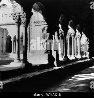 Ad Arles. Chiostro . St Trophime Foto Stock