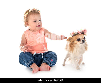 Bambino e cane in font di sfondo bianco Foto Stock