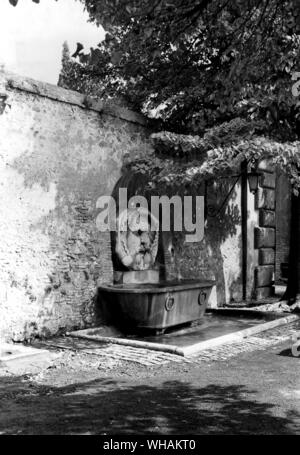 La maschera Fontana nel parco di alberi di arancio Foto Stock