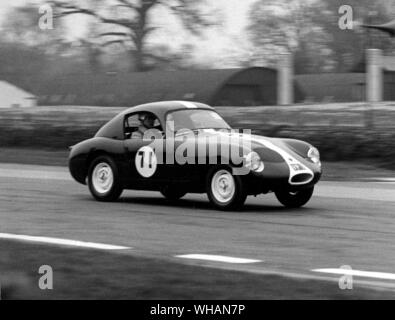 Austin Healey Sprite a Goodwood Foto Stock