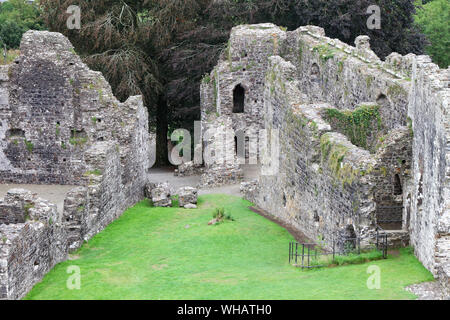 Dettagli e viste di Okehampton Castle, Devon, in Inghilterra in un giorno di pioggia con drammatica del cielo Foto Stock