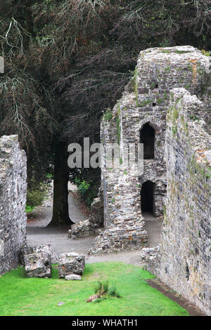 Dettagli e viste di Okehampton Castle, Devon, in Inghilterra in un giorno di pioggia con drammatica del cielo Foto Stock