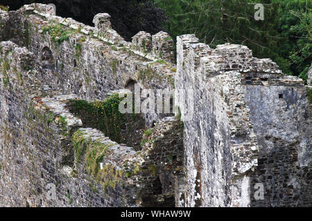 Dettagli e viste di Okehampton Castle, Devon, in Inghilterra in un giorno di pioggia con drammatica del cielo Foto Stock