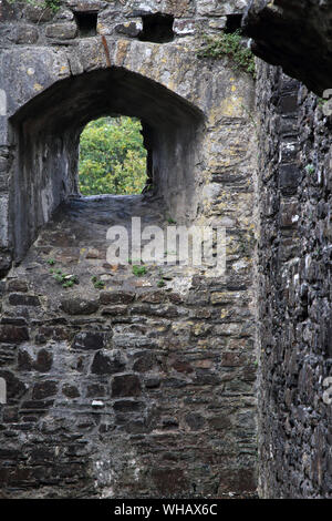 Dettagli e viste di Okehampton Castle, Devon, in Inghilterra in un giorno di pioggia con drammatica del cielo Foto Stock